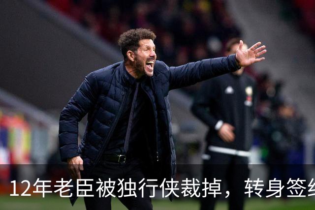 12年老臣被独行侠裁掉，转身签约土耳其费内巴切